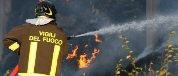 Firenze, in fiamme oliveto sopra la collina di Careggi