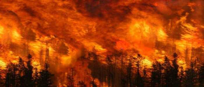 Cosenza, emergenza incendi: "situazione seria"