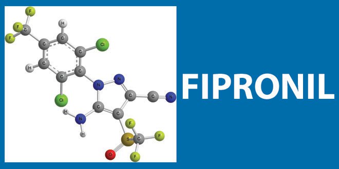 Allarme Fipronil, altri due casi riaprono il tema