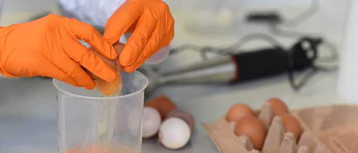 Uova contaminate con fipronil: due campioni positivi in Italia