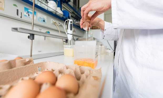 Uova contaminate: dal Codacons stop a vendita prodotti a rischio