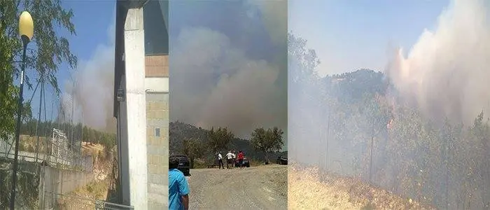 Vasto incendio alle porte di Catanzaro: il rogo si sposta in altri comuni