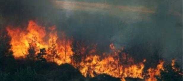 Incendio parco del Vesuvio: arrestato piromane