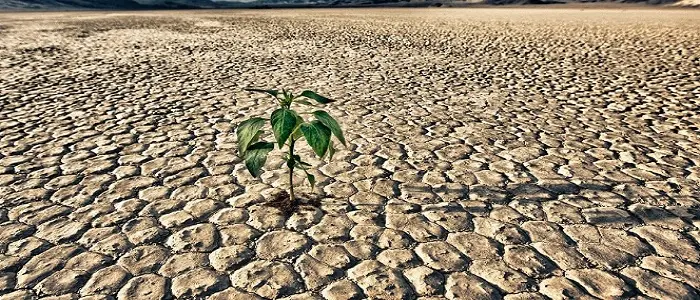 Siccità in Italia: dieci regioni verso lo stato di calamità