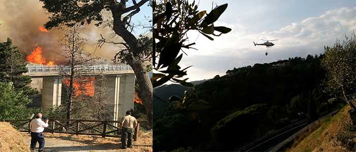 Presidente Enzo Bruno, Incendio minaccia Parco della Biodiversità situazione  sotto controllo