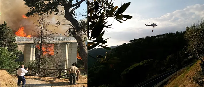 Presidente Enzo Bruno, Incendio minaccia Parco della Biodiversità situazione sotto controllo