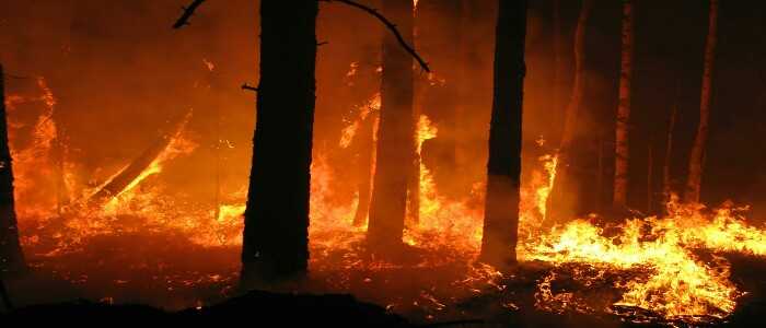 USA, emergenza incendi: California in fiamme