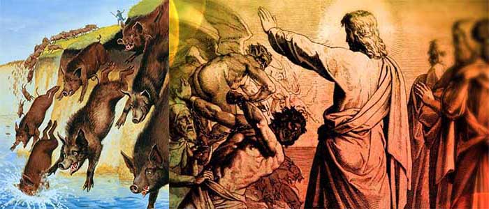 Una mandria di porci vale forse più della vita umana?