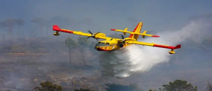 Incendi nel Salento, oltre 70 roghi nella giornata di oggi. Bruciano sterpaglie e macchia