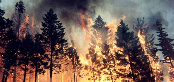 Incendi boschivi: oggi 18 richieste d'intervento aereo