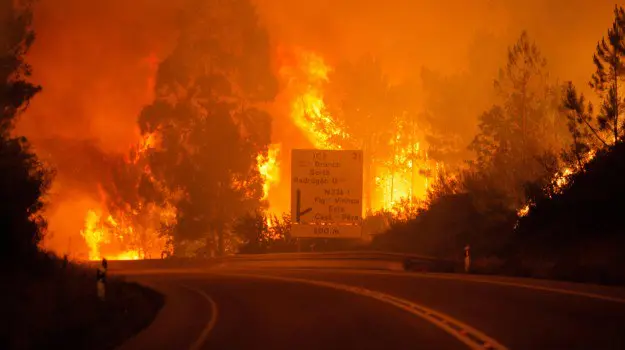 Portogallo, domato l'incendio. Il bilancio del rogo