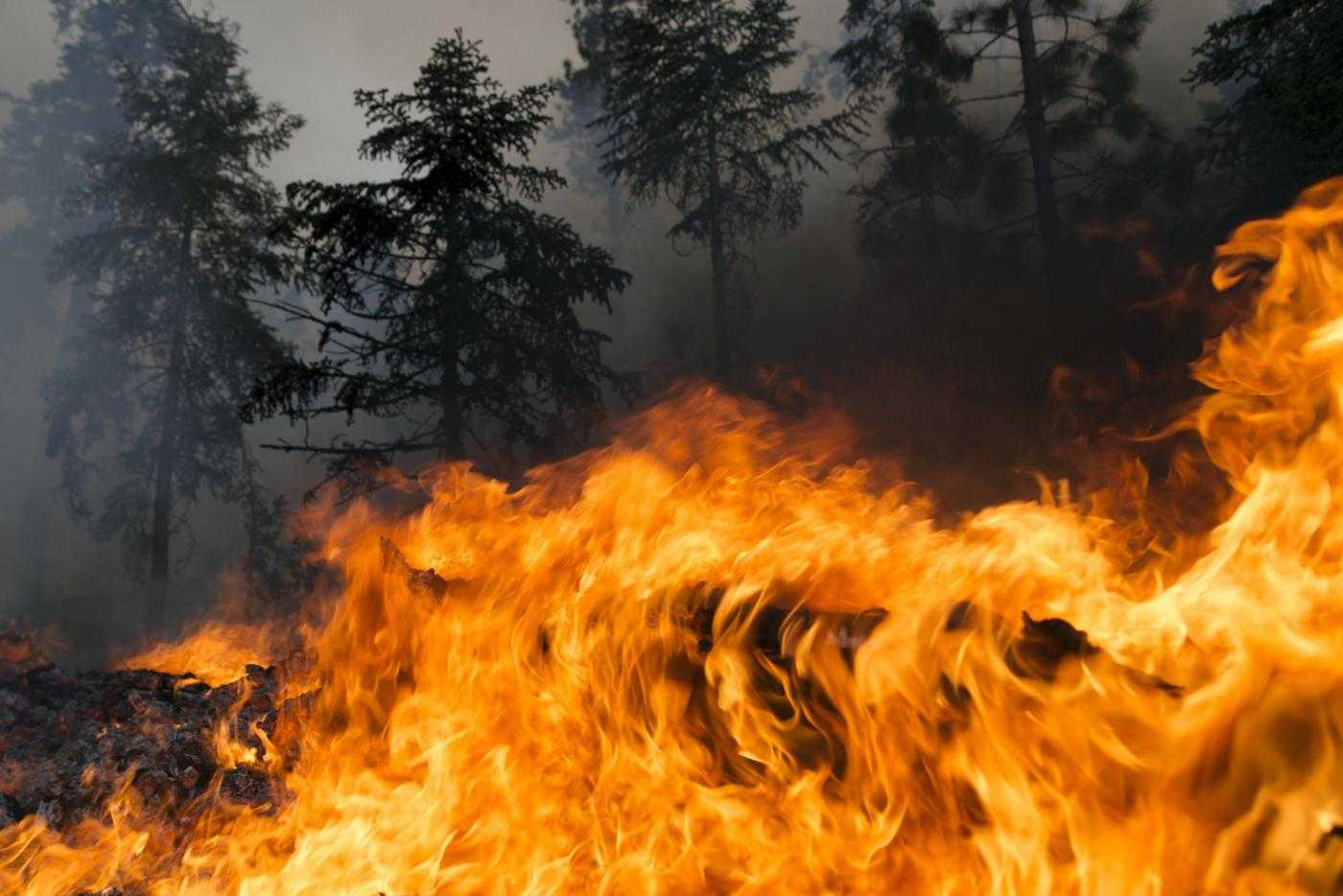 Portogallo,incendio devasta boschi della cittadina Pedrógão Grande: almeno 43 morti