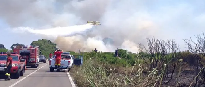 Salento, incendio nei parchi "Duna costiera" e "Palude del Conte". Ci sarebbero danni