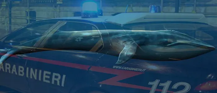 Blu Whale: carabinieri Molfetta, salvato ragazzo da suicidio