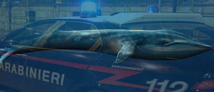 Blu Whale: carabinieri Molfetta, salvato ragazzo da suicidio