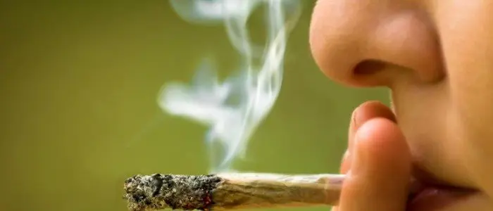 Che cos'è Easyjoint, la marijuana legale senza effetti psicoattivi