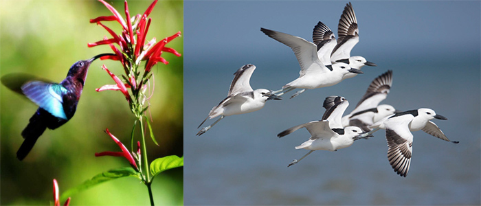 Quale condizione per essere tutelati dal cielo?
