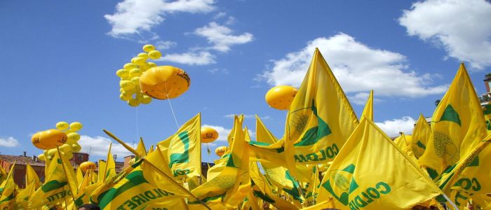 Allarme della Coldiretti, colture a rischio a causa della siccità