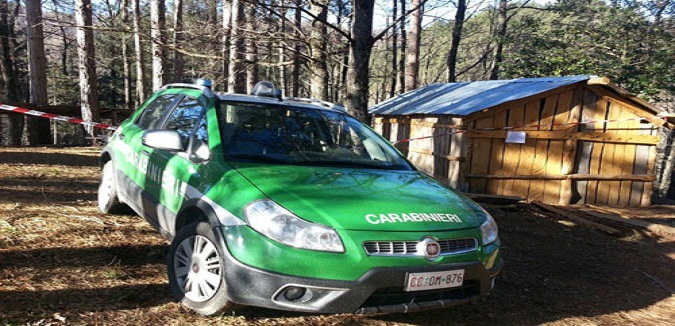 Taglio abusivo di alberi a Nocera Tirinese: due denunce