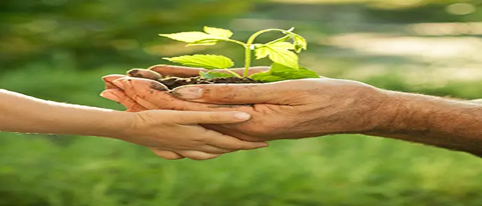 L'ecologia del vero cambiamento!