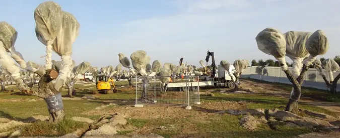 Gasdotto Tap, bocciato ricorso regione Puglia. Sì a lavori in Salento