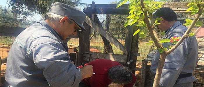 Regione Carabinieri Forestale, Sequestrati 14 cani tenuti in condizioni igieniche precarie [Foto]