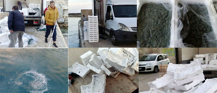 Salute. Asp Catanzaro: Asp-Forze dell'ordine per il sequestro "bianchino", di alimenti vari [Foto]