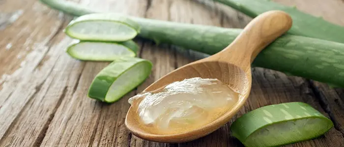 Aloe Vera: proprietà, benefici e usi di una pianta miracolosa