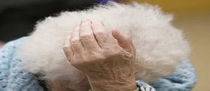 Truffe: impiegata banca raggira anziana e si fa nominare erede Sequestri-Rovigo-Ferrara-Milano