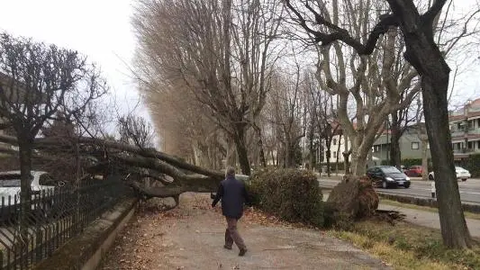 Paura nel Cuneese per una tromba d'aria: ragazza ferita da una tegola