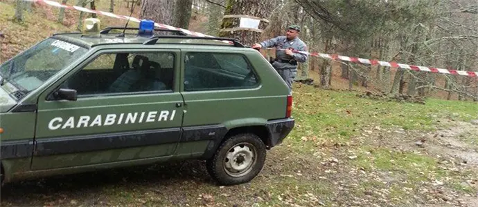 Rossano: Posta sotto sequestro area boscata di Calabria verde (Foto)