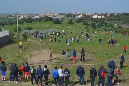 CIP Sardegna: gli studenti medi paralimpici attesi alle qualificazioni dei Giochi Studenteschi