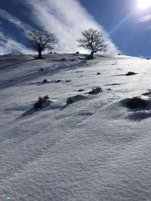 Il Cip Sardegna dà il suo apporto concreto  per la passeggiata scolastica sulle nevi del Gennargentu