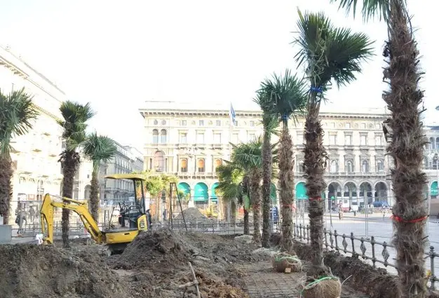 Milano e le palme nella nuova piazza Duomo: i cittadini si dividono