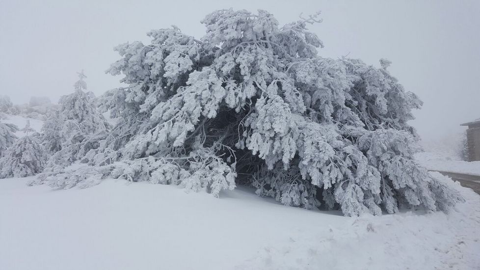 Maltempo: neve e gelo in Sardegna