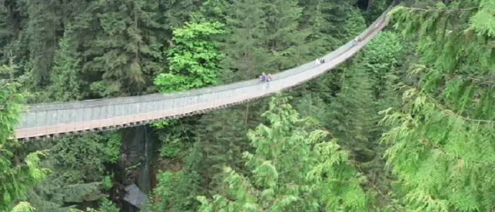 Colombia, il ponte sospeso precipita. Turisti cadono per 80 metri: 7 morti