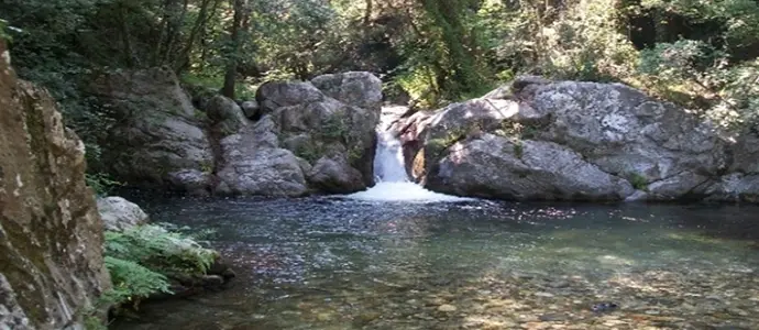 Ambiente: Tallini, ottimo lavoro su riserva naturale Valli Cupe