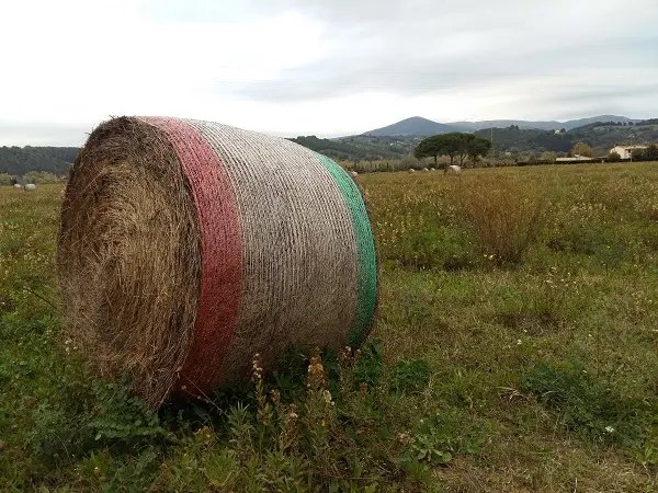 Bio-distretti, un'occasione per salvaguardare i territori e sostenere le economie locali.