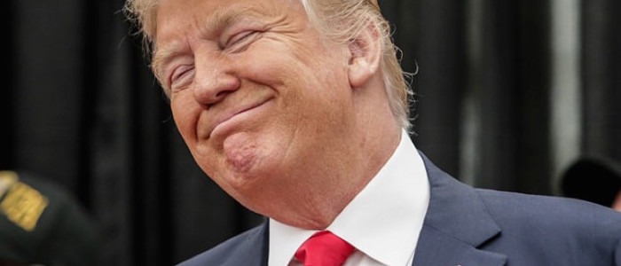 In italia i sostenitori di Trump esultano