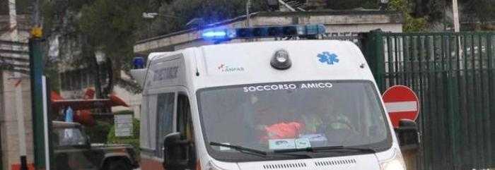 Pescara, morto bambino di tre anni sbranato da un cane