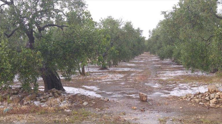 Maltempo in Italia: Puglia divisa a metà. Rallentamenti nei trasporti e danni all'agricoltura