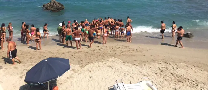 Cucciolo di pesce spada  salvato a Caminia "Non solo selfie" [Foto]