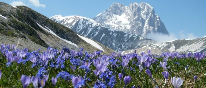 Due morti sul Gran Sasso per incidente di montagna