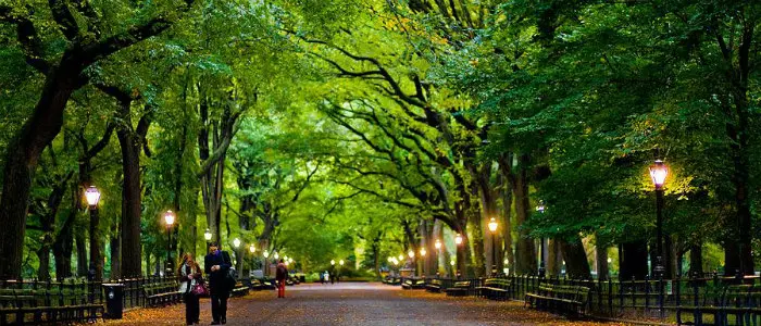 New York: esplosione di un ordigno a Central Park provoca un ferito grave