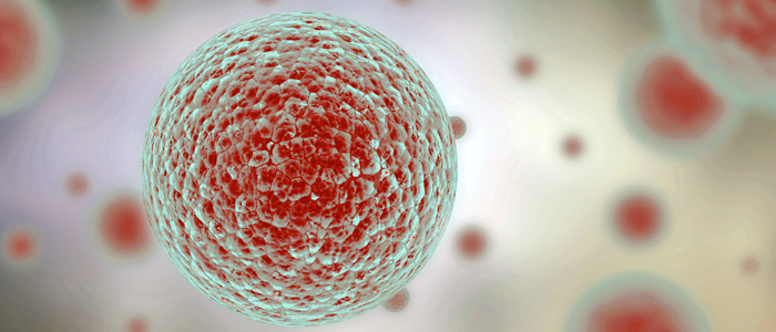 Il congresso oncologi Usa premia 4 ricercatrici italiane