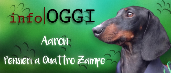 Cani agli arresti domiciliari