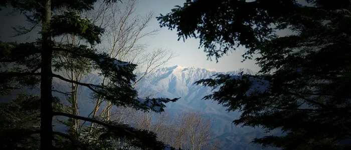 Giappone: figlio di 7 anni lasciato solo nel bosco 'per punizione'. Scomparso da due giorni