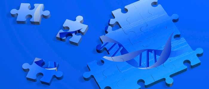 USA: Incontro privato tra scienziati per valutare la creazione di un genoma umano sintetico