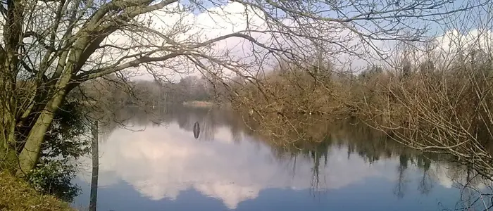 Automobile finisce in un lago. Morti madre e figlio di 4 anni