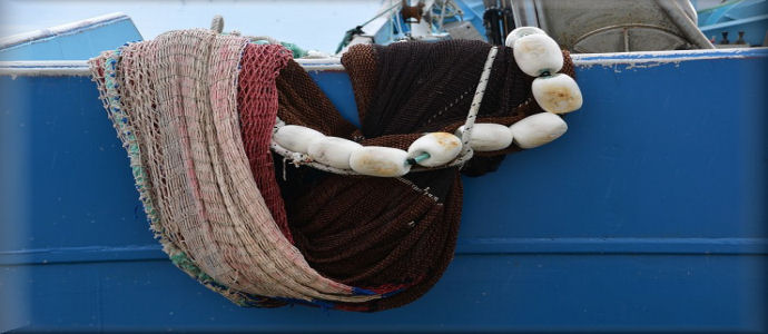 Gettare le reti in un mare ostile!